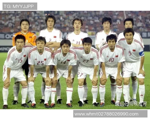 中国足球球星年龄分布排行榜揭示各代球员实力差异与未来潜力